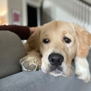 Meet your Posher, Ruth